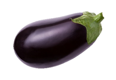 Eggplant The Louis Bonduelle Foundation