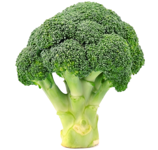 Le brocoli - Fiche légume, valeurs nutritionnelles, calories