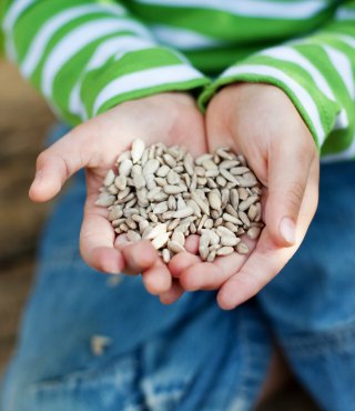 enfant-education-potager