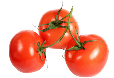 La tomate - Fiche légume, valeurs nutritionnelles, calories, santé