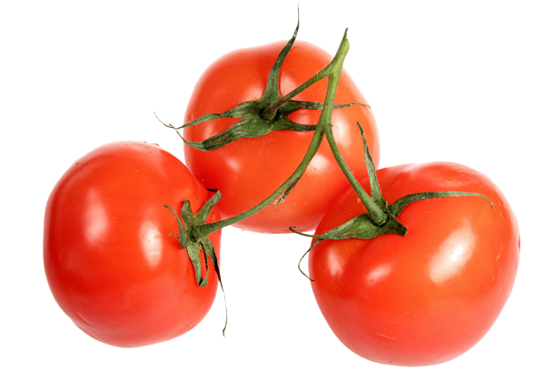 tomate-fiche-bonduelle