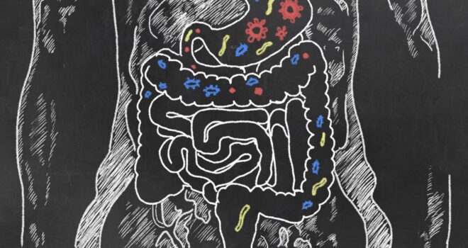 eaten-corps-humain-légume-digestion-fondation-bonduelle