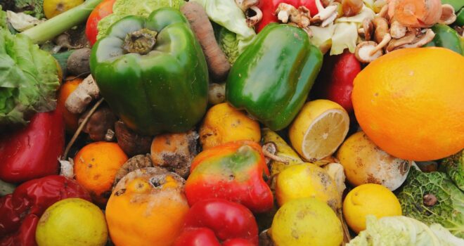 Food waste-Gaspillage alimentaire : dossier scientifique de la Fondation Louis Bonduelle