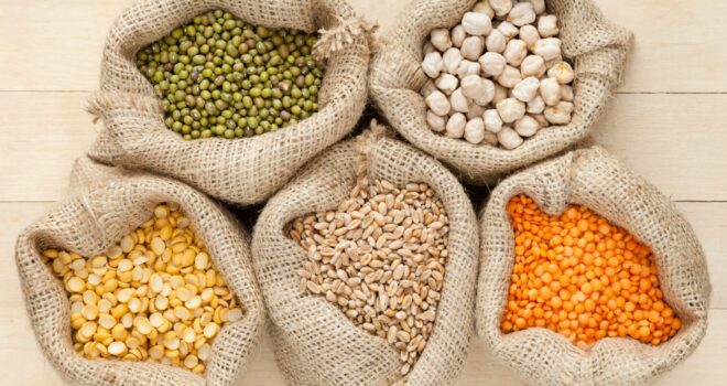 pulses-légumes secs-livre-fondation-bonduelle