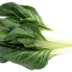 bette-legume-bonduelle
