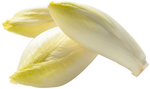 endive