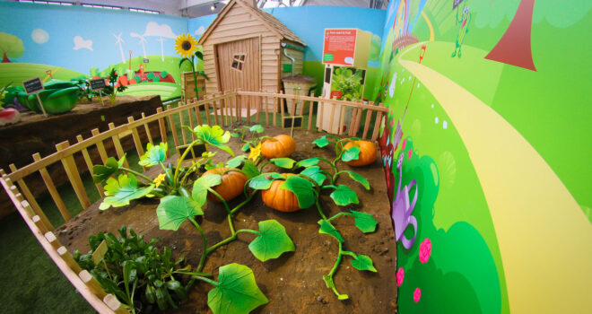 crocexpo-vegetable garden-children