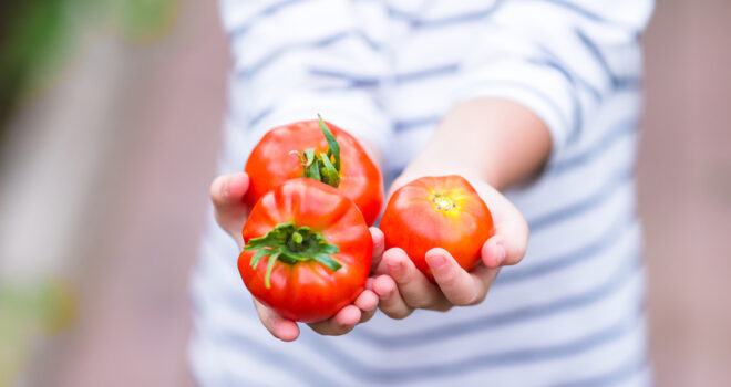 culture-alimentaire-francaise