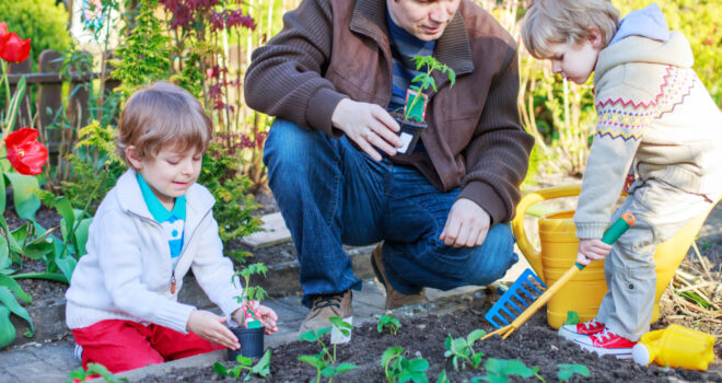 potager-benefique-quartiers-defavorises