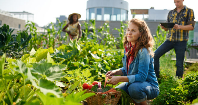 ville-agriculture-urbaine