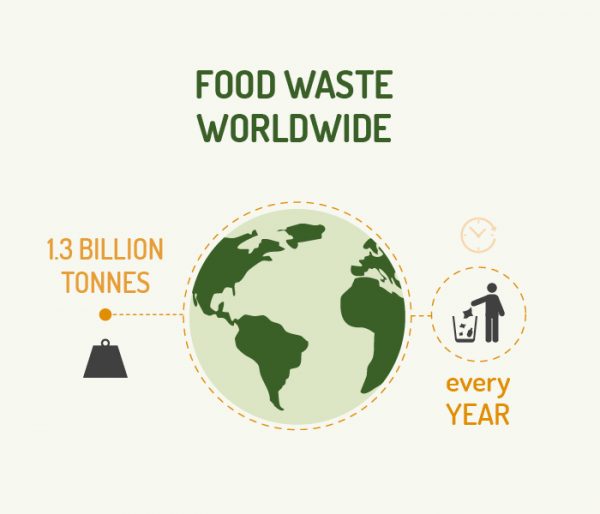 How to avoid food waste? - Fondation Louis Bonduelle