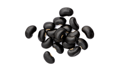bonduelle-fiche-legume-haricots-noirs